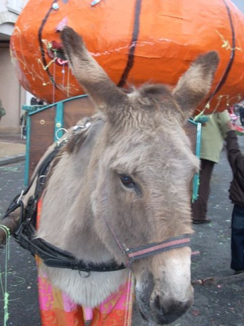 carnaval 2008 (116).jpg